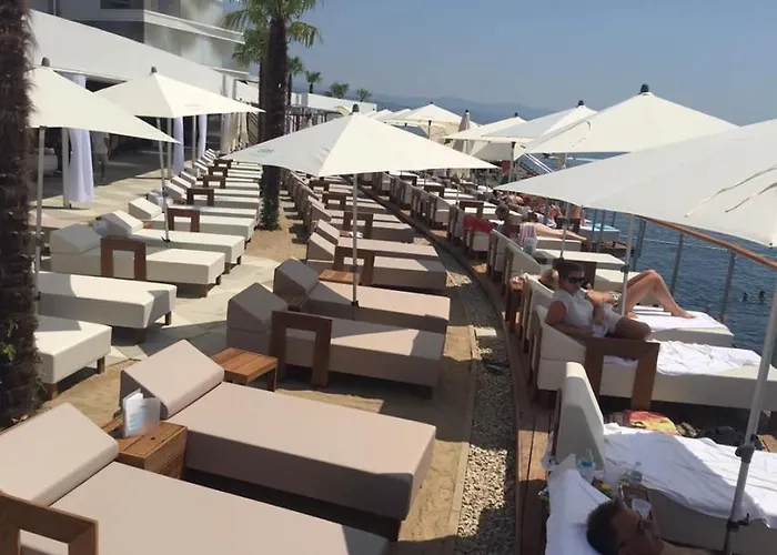 Runko In Emilia Daire *