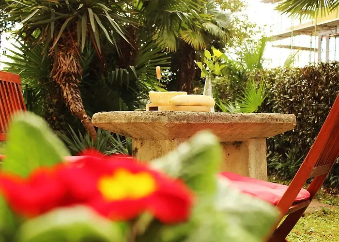 Runko In Emilia Daire